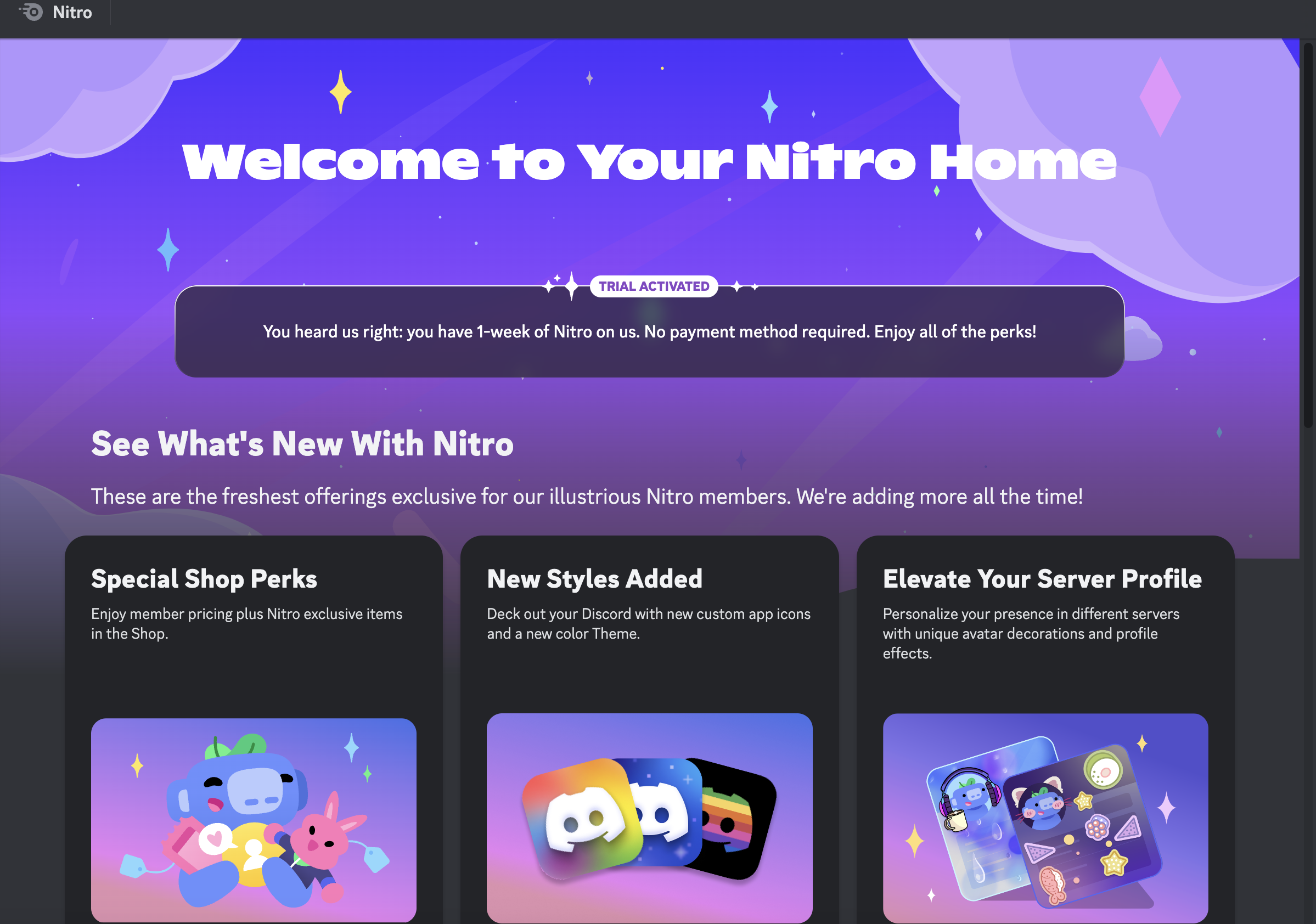 Buyamia End Year Sale